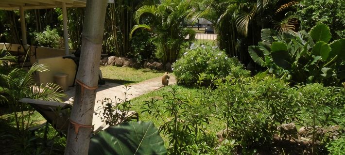 Only 3 mins walk to Beach and Beach Club Hotels in Holetown
