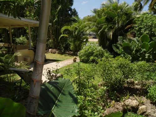 Only 3 mins walk to Beach and Beach Club