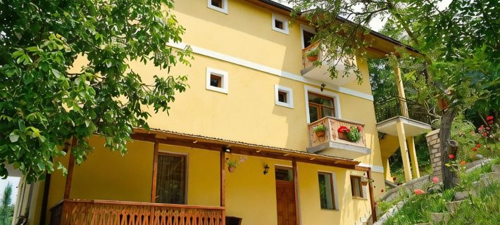 Verin Tun Hotels in Dilijan
