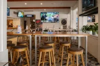 柏麗碧島酒店 - 酒吧