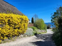 Fantastic vacation apartment near the beach with fireplace, quiet location - WiFi