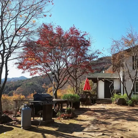 Morning Pension in Gimcheon Mountain