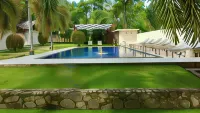 Jungle Paradise - piscine
