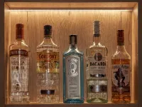Hotel Palarine - bar