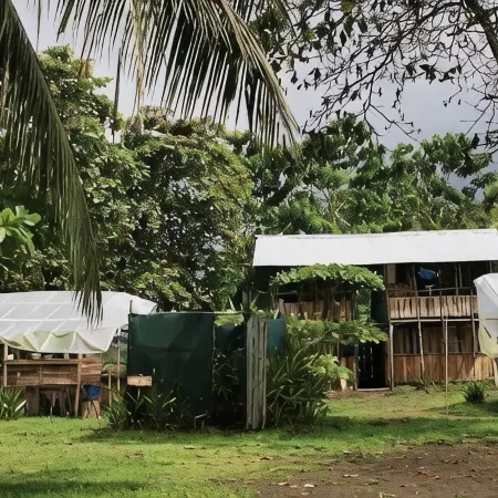 Miguel Surf Camp