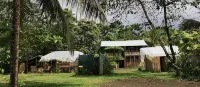 Miguel Surf Camp
