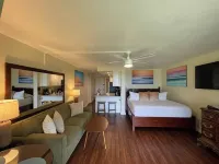 Amazing Views above Beautiful Hanalei Bay - 3-Star