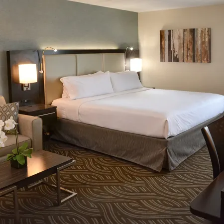 Holiday Inn YOUNGSTOWN-SOUTH (BOARDMAN) by IHG