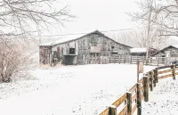 Muletown Manor • Tennessee Charm • Sleeps 10 • Fish Pond • Horse • Sunset Views - 3-Star