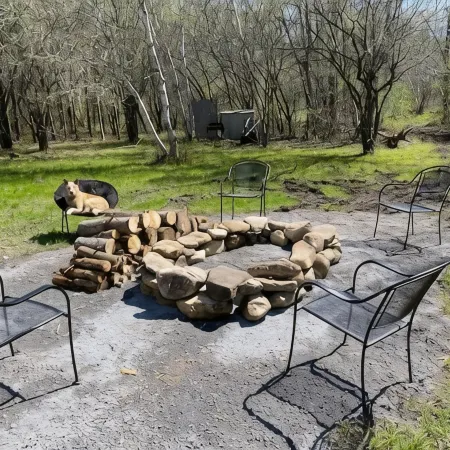 Forest Side Solar Powered Cabin with Nature Trails