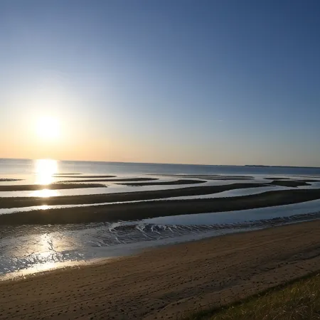 Cape Cottage with 5 beds, large deck, and less than 10 minute walk to the beach!