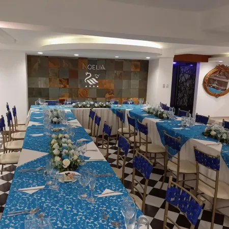 Hotel El Cisne Internacional