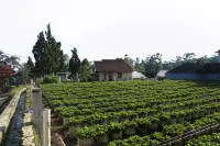 Villa Kayu Ciwidey - 3-Star