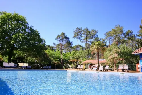Green Resort - Wifi