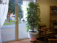 Hôtel du Centre - 2-Star