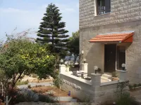 Tamer Guest House Hôtels à : 