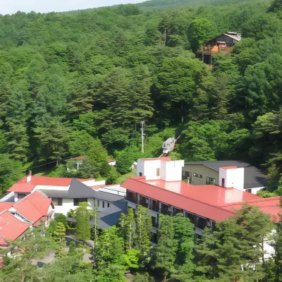 Hishino Onsen Tokiwakan Hotel di Komoro