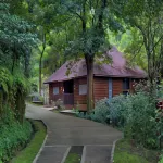 The Tamara Coorg