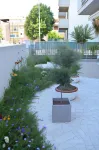 Casa Polly B&B Hotels in Cupra Marittima
