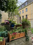 Bath YMCA Hostel Hotels near Primrose Hill Community Woodland