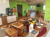 Hotel Salsedine " 5 mt from the Beach فنادق في فيسيربا
