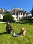 Hotel Fleur de Lys Hotels in Zedelgem