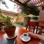 Casa Lloret