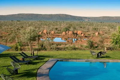 Madikwe Safari Lodge Hotels in 