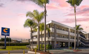 Comfort Inn SeaWorld Area