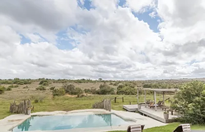 Hlosi Game Lodge - Amakhala Game Reserve Hotels near Shamwari Private Game Reserve in the Eastern Cape