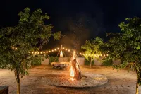 Wild Culture Yala