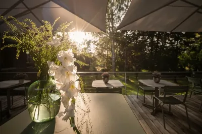 STURM - Wir erholen Sie. Bio & Wellnesshotel in der Rhön Hotels in der Nähe von Stein ErlebnisPfad Am Zeilberg