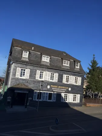 Hotel Friedrich Отели в г. Штайнебах-на-Виде