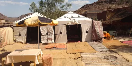 Auberge Restaurant Tissili " Oasis de Fint" Отели в г. Тармигт