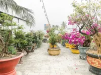 FAIRY HILLS HOTEL Các khách sạn gần Hòn Rơm