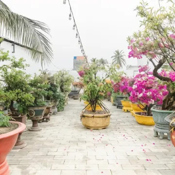 FAIRY HILLS HOTEL