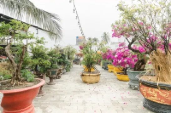 FAIRY HILLS HOTEL Hotels in 