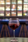 Regenta Central Hotel & Convention Centre Nagpur - bar
