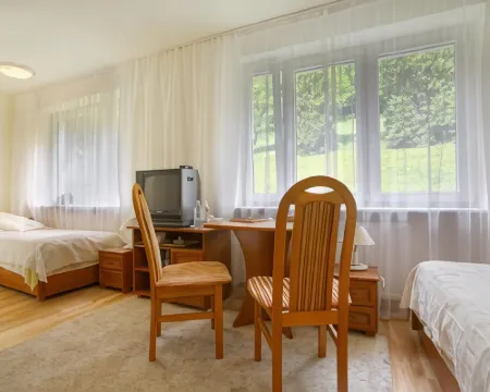 Geovita Krynica-Zdroj 克雷尼察酒店