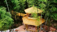 Bamboo Grove Courtyard Hainan's Home Homestay - 2 Sao