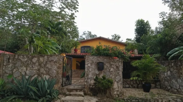 Casa Mango