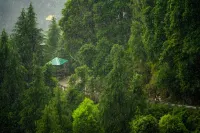 Liveaway Dharamkot by PACK - Apartments