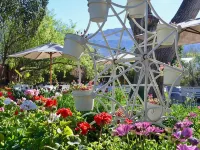 Fiore Guest Accommodation