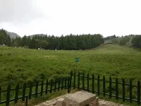 迎客松民宿（駝樑風景區店）
