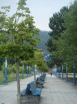 Apartamentos Sarga Sentirgalicia
