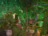 Hotel Istankoy Bodrum Hotels near Akkan Beach
