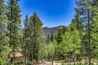 Cozy Mountain Cabin 1 Hour from Denver Backs up to National Forest EV Charging!