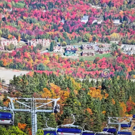 Charming 2-bedroom ski in/ski out condo on Mt. Snow with fitness, pool, WiFi