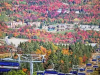 Charming 2-bedroom ski in/ski out condo on Mt. Snow with fitness, pool, WiFi