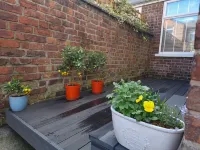 Gorgeous Edwardian Terrace - WiFi